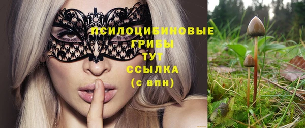 дурь Алексеевка