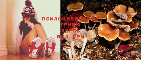 соль курить ск Алексин