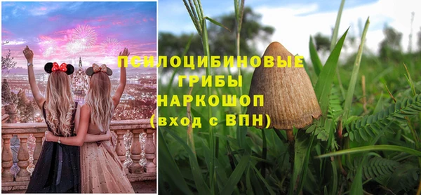 а пвп мука Алзамай