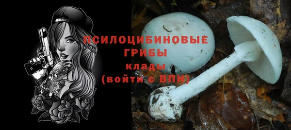 а пвп мука Алзамай