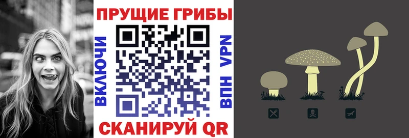 Псилоцибиновые грибы Psilocybe Учалы